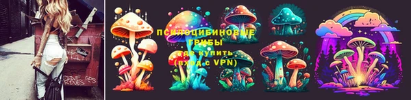mdpv Бородино