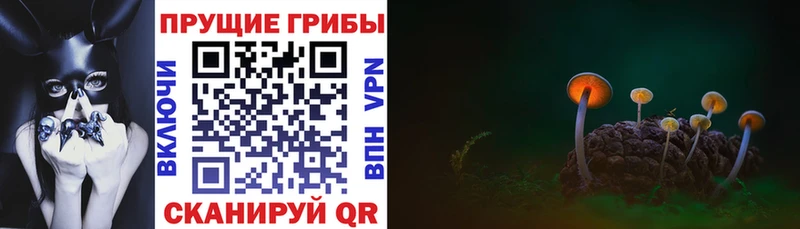 Галлюциногенные грибы Magic Shrooms  Волжский 